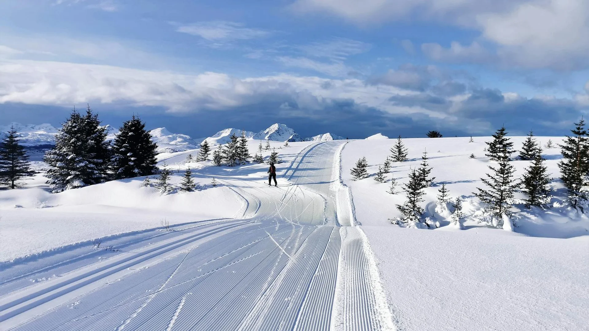 Skieurs de fond montée pente enneigée montagne soleil
